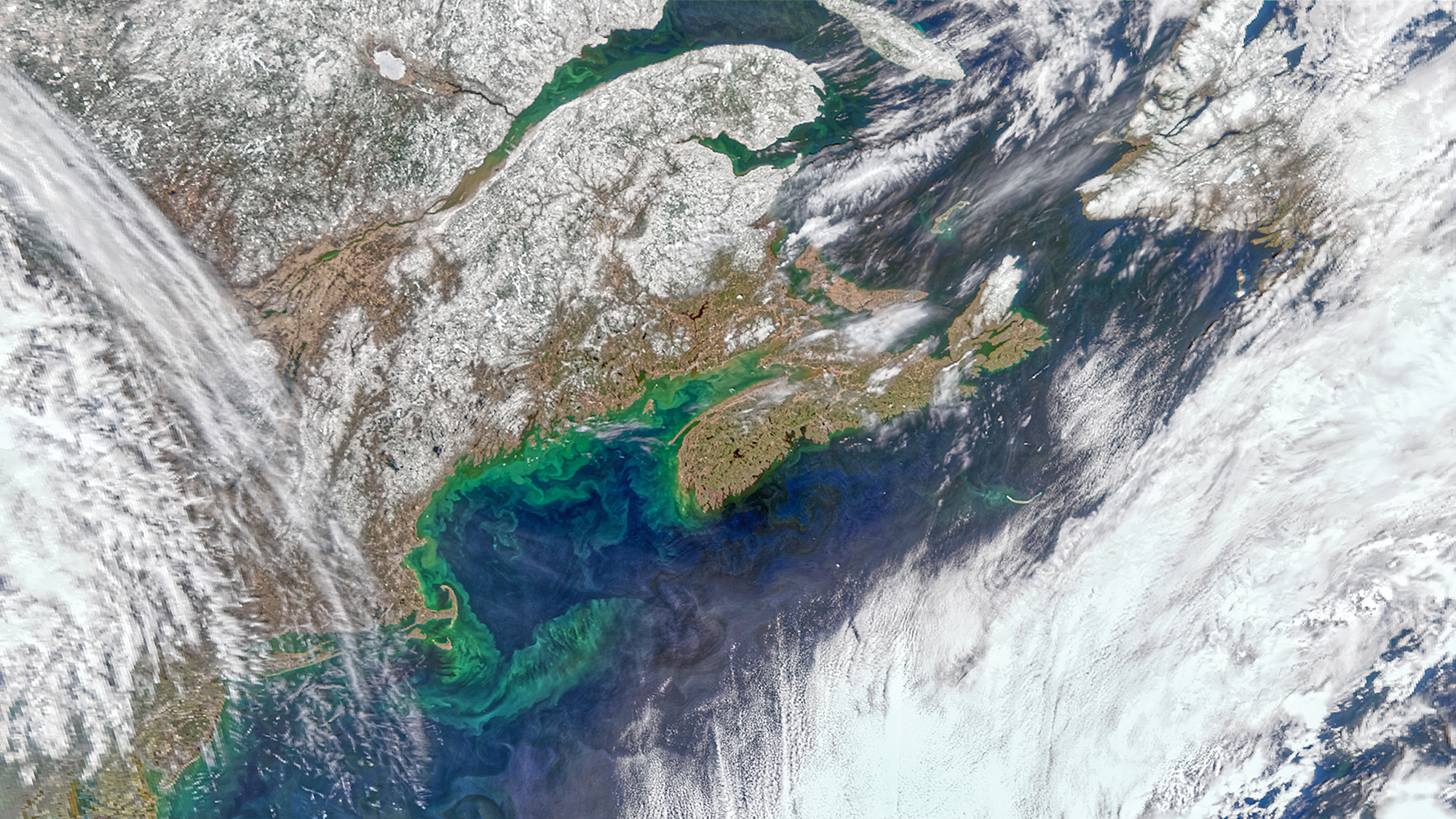 Modelling Ocean Microbes using Satellites