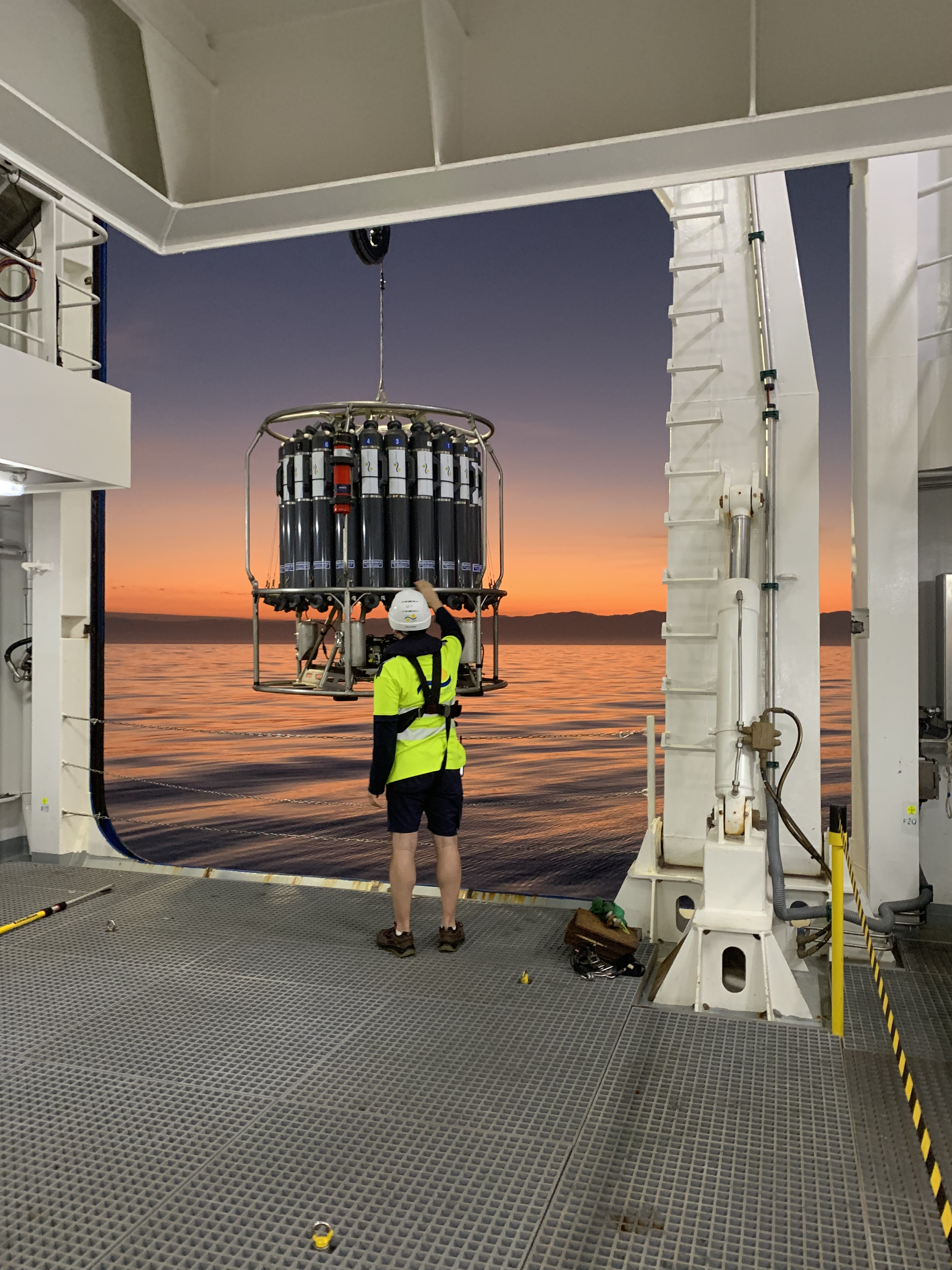 Uncovering Viral Roles in Oxygen Minimum Zones